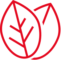 BrainBox AI 6 Karbon